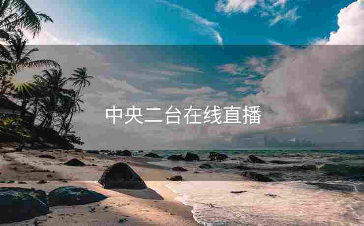 中央二台在线直播