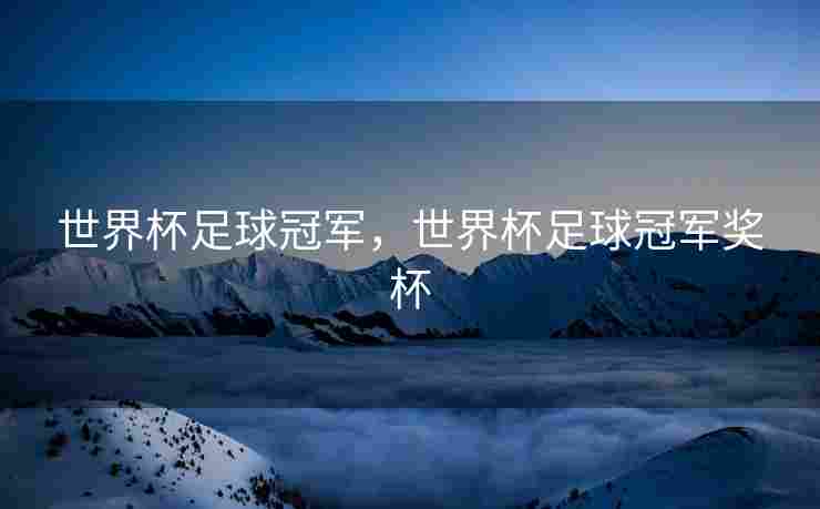 世界杯足球冠军，世界杯足球冠军奖杯